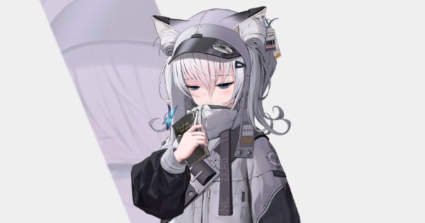 【ニケ】N102の評価と性能